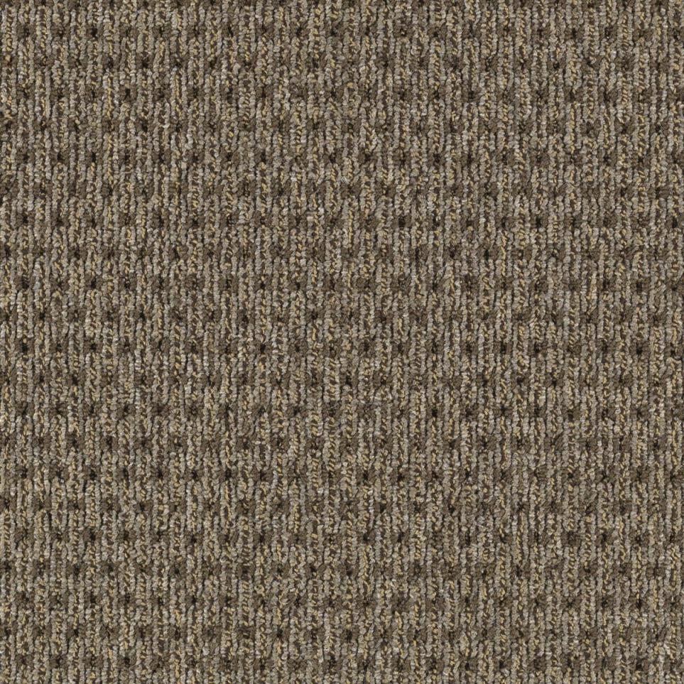 Pattern Cameo Brown Carpet