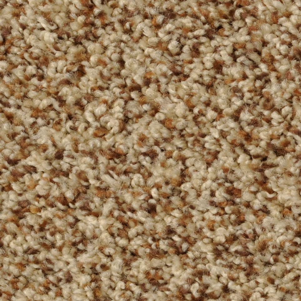 Texture Pinebark Beige/Tan Carpet
