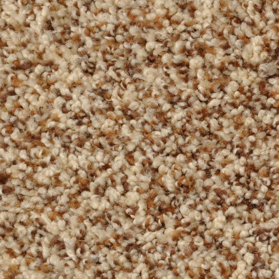 Texture Coconut Grove Beige/Tan Carpet