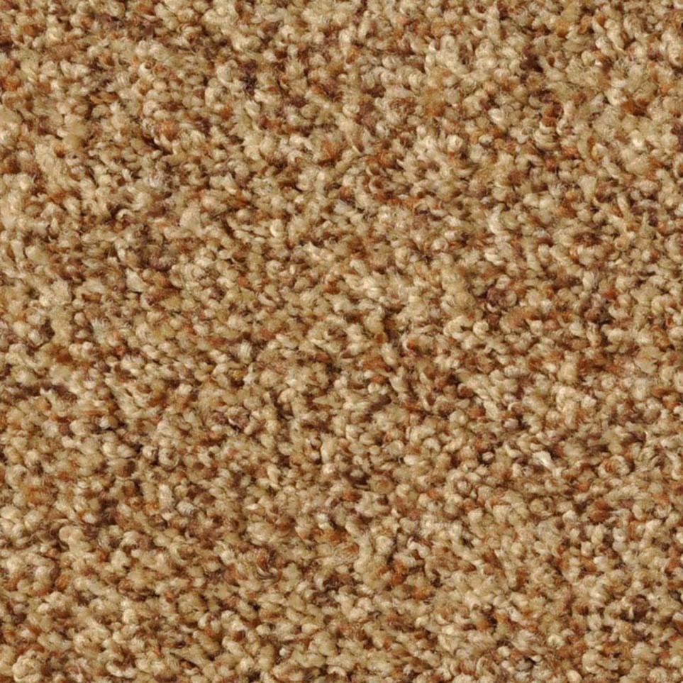 Texture Fascinating Fawn Beige/Tan Carpet