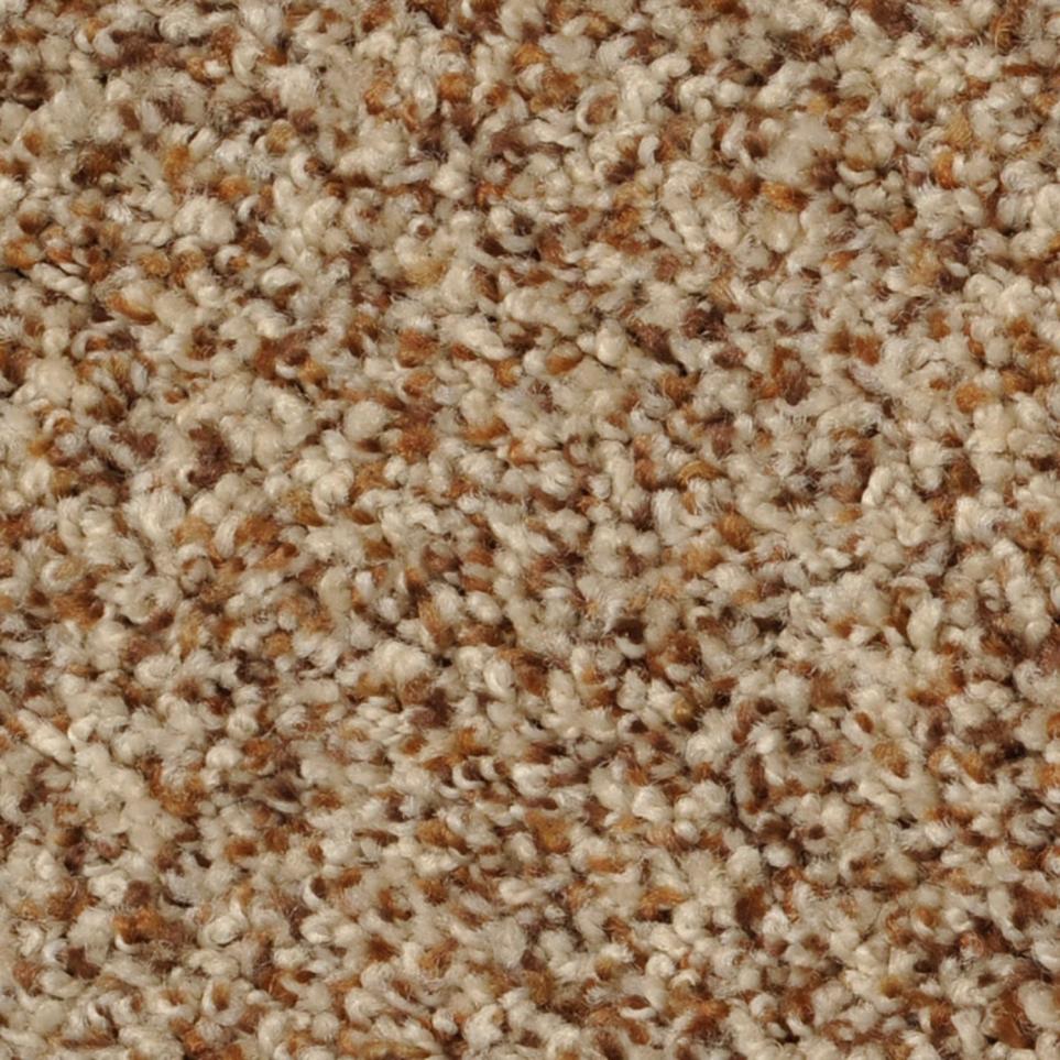 Texture Acorn Taupe Beige/Tan Carpet