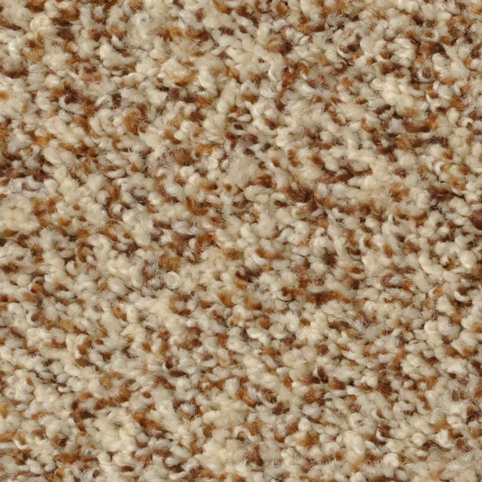 Texture Pearl Cantina Beige/Tan Carpet