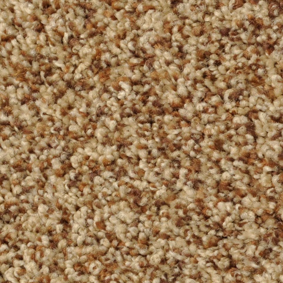 Texture Sassy Saddleback Beige/Tan Carpet
