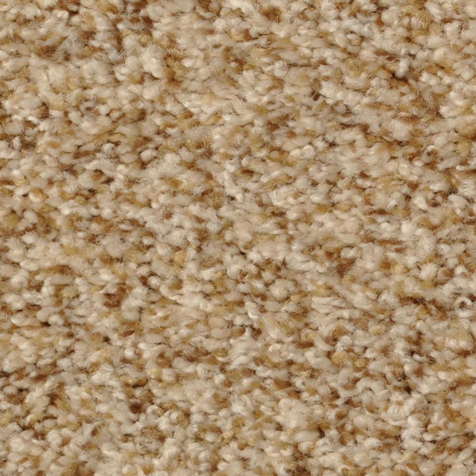 Texture Buttercup Delight Beige/Tan Carpet