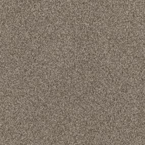 Casual Texture Driftwood Beige/Tan Carpet
