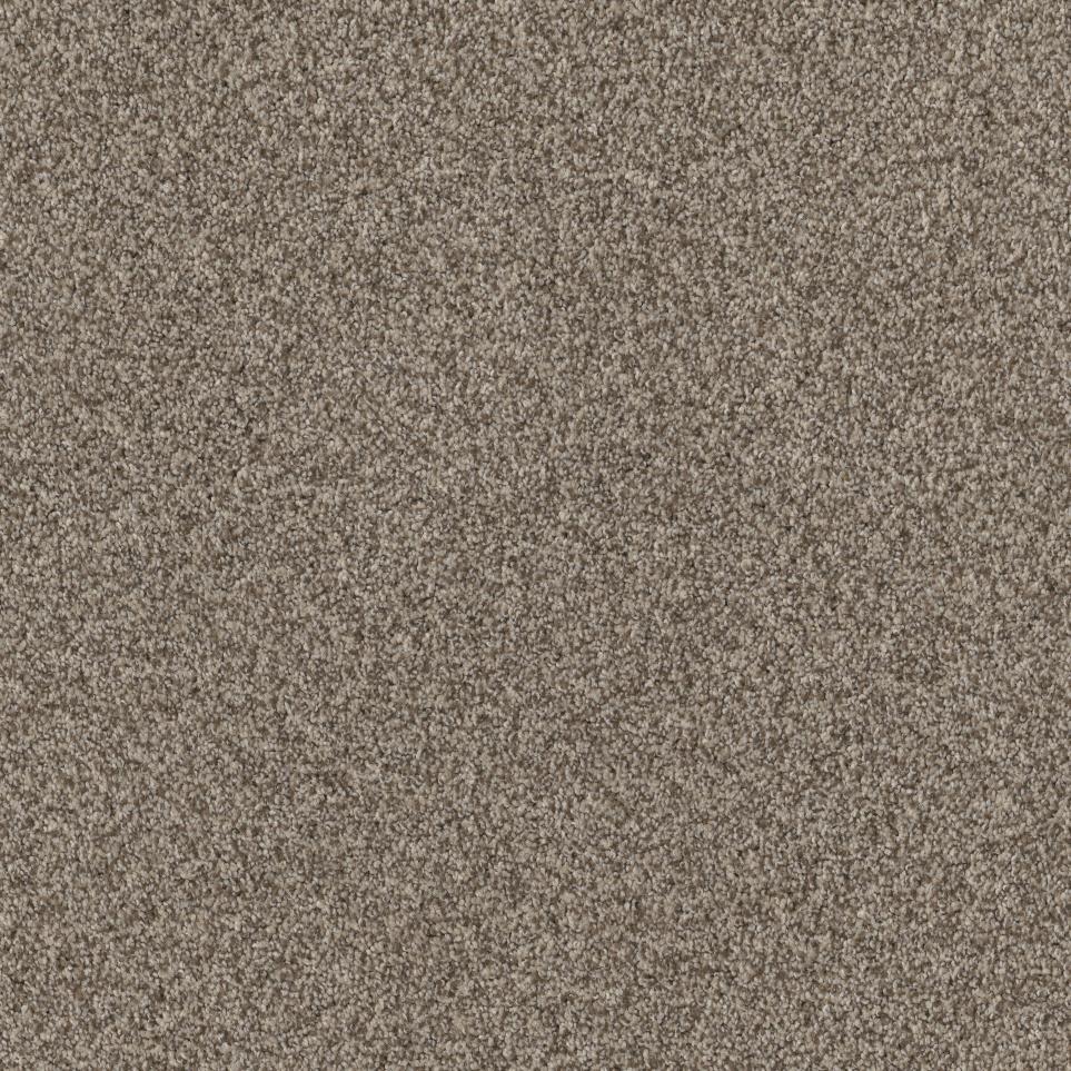 Casual Texture Driftwood Beige/Tan Carpet