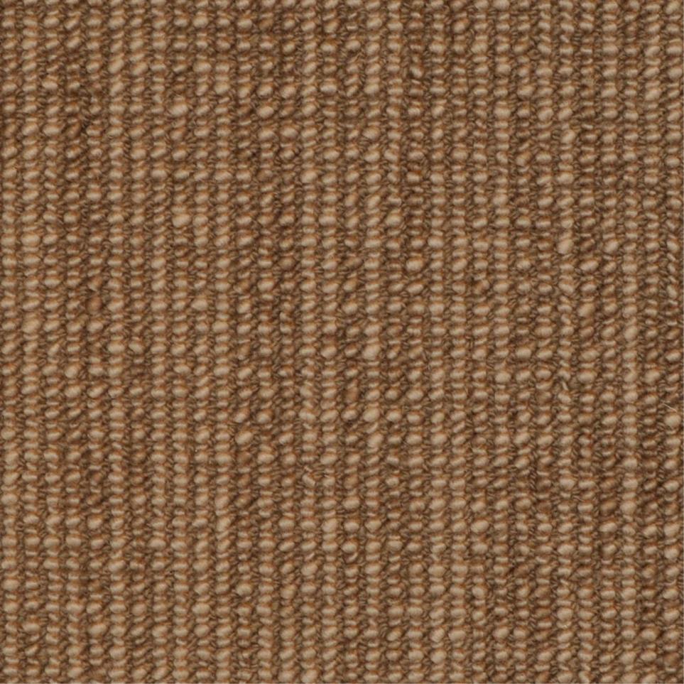 Pattern Wildwood Brown Carpet