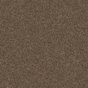 Textured Saxony Utmost Brown Carpet