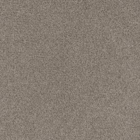 Cut Pile Best Of Times Brown Carpet