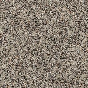 Pattern Optimism Beige/Tan Carpet