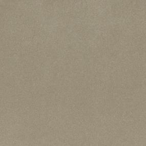 Textured Saxony Dreamtime Beige/Tan Carpet