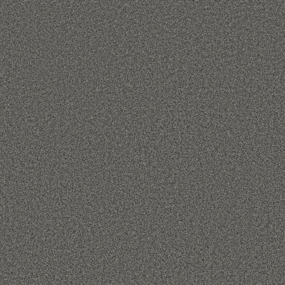 Texture Gravel Gray Carpet