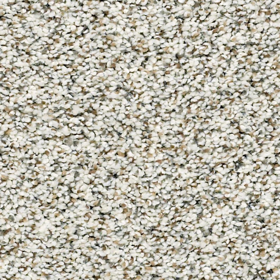 Texture Polar Dawn White Carpet