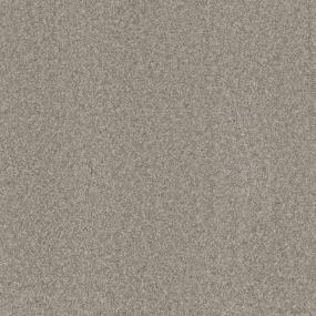 Textured Saxony Flowers Beige/Tan Carpet