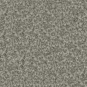 Plush Saxony Daydream Gray Carpet