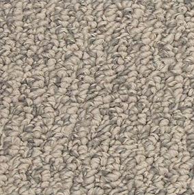 Pattern Journey Beige/Tan Carpet