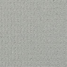Pattern Colonial Gray Carpet