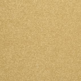 Textured Saxony Sudbury Beige/Tan Carpet