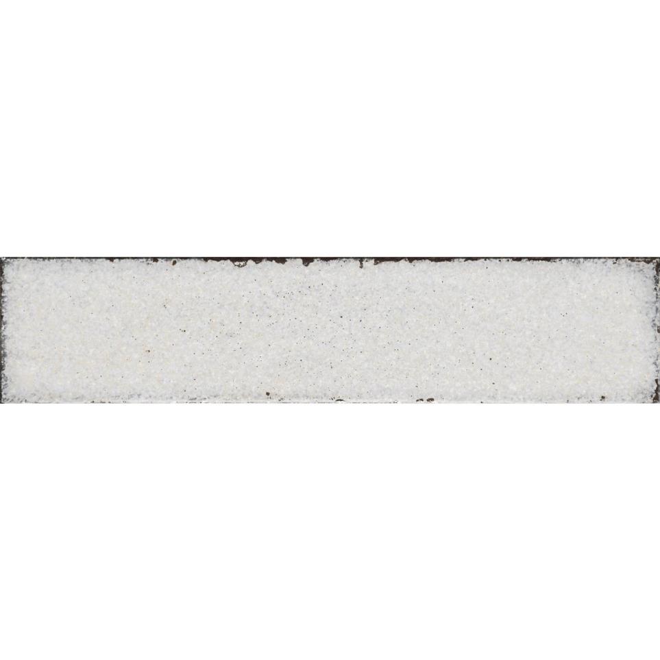 Tile Seashell Glossy White Tile
