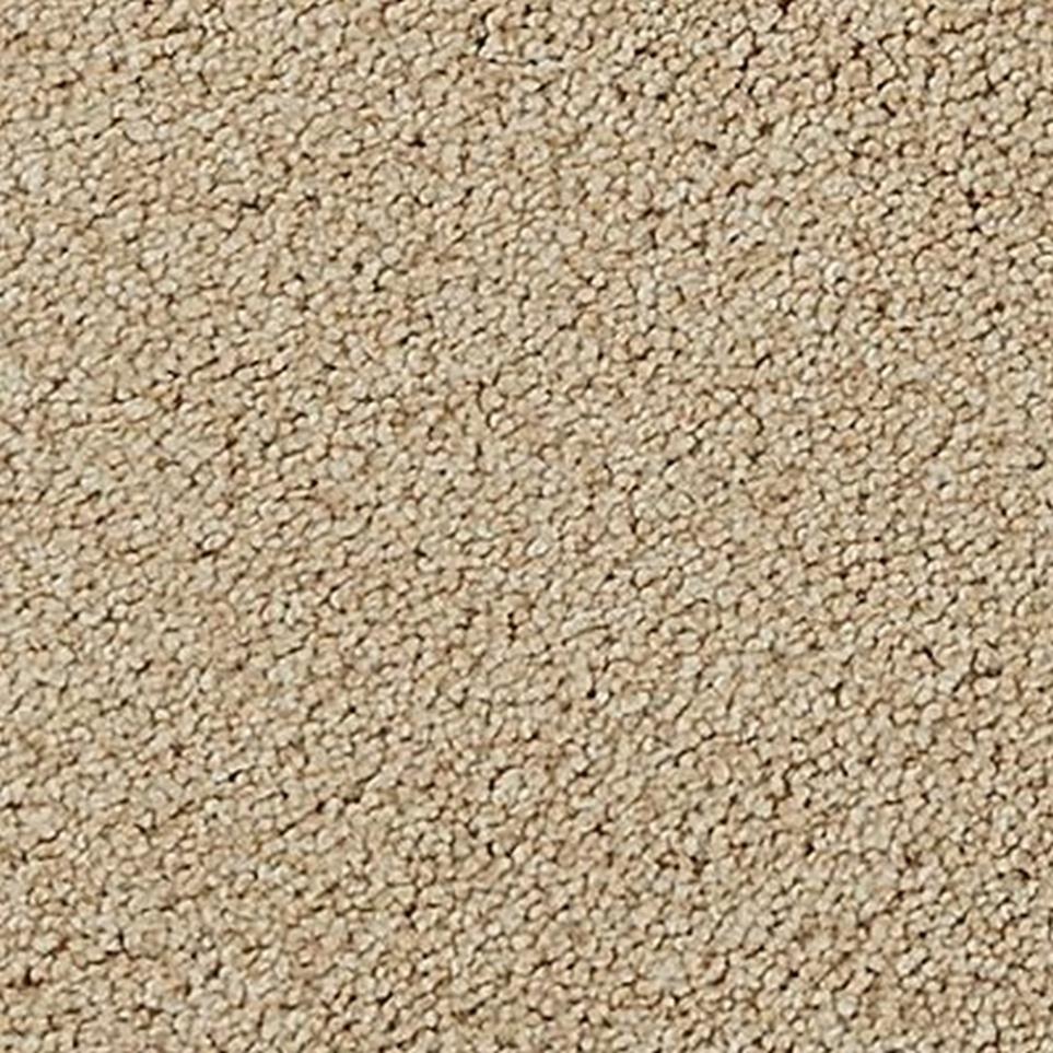 Textured Saxony Dillon Brown Carpet
