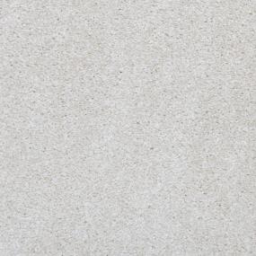 Textured Saxony Quiet Beige Gray Carpet