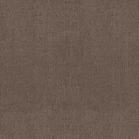 Pattern Ponytail Brown Carpet