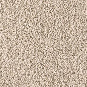 Textured Saxony FIRST CHOICE Beige/Tan Carpet