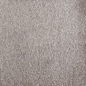 Plush Gunmetal  Carpet