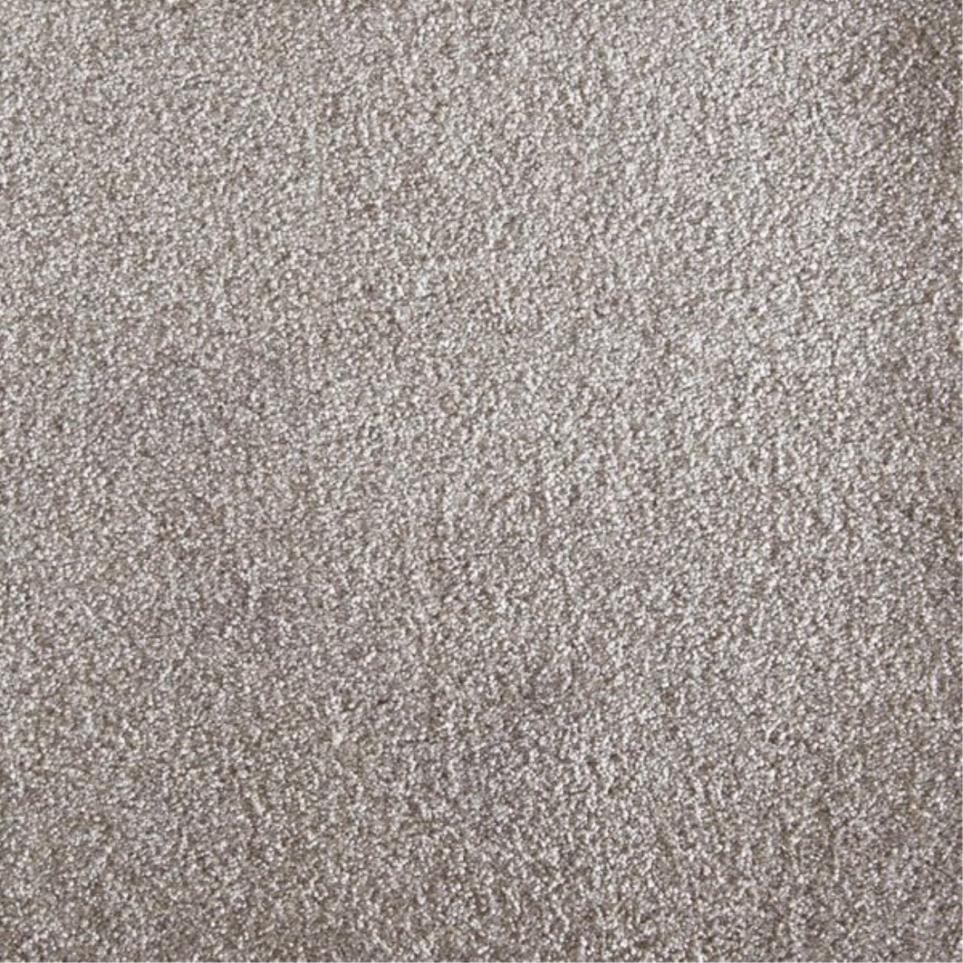 Plush Saxony Gunmetal Gray Carpet