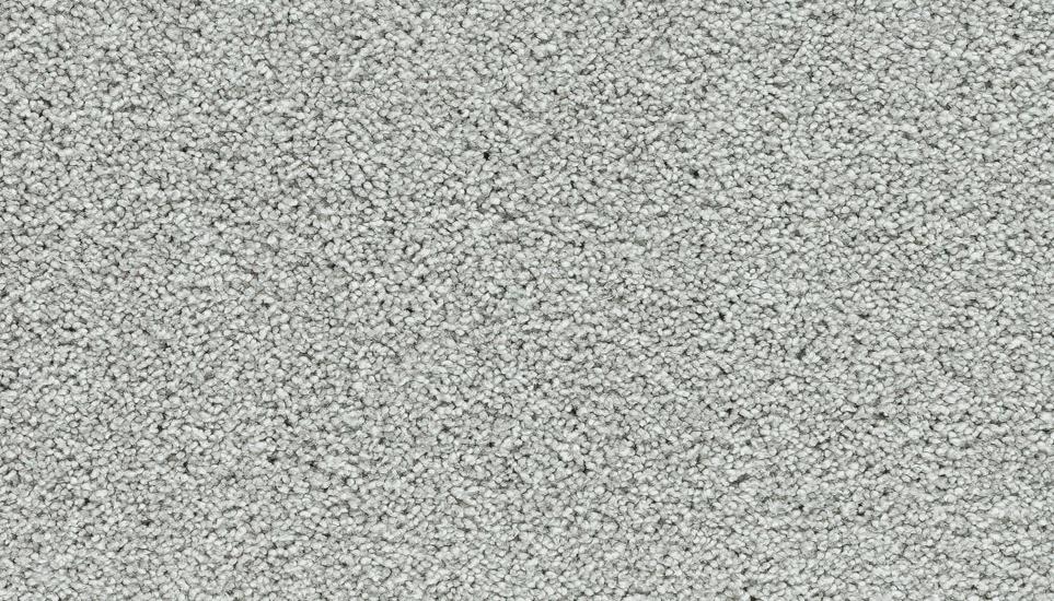 Textured Saxony Ash Gray Carpet