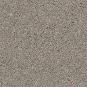 Textured Saxony Dockside Beige/Tan Carpet