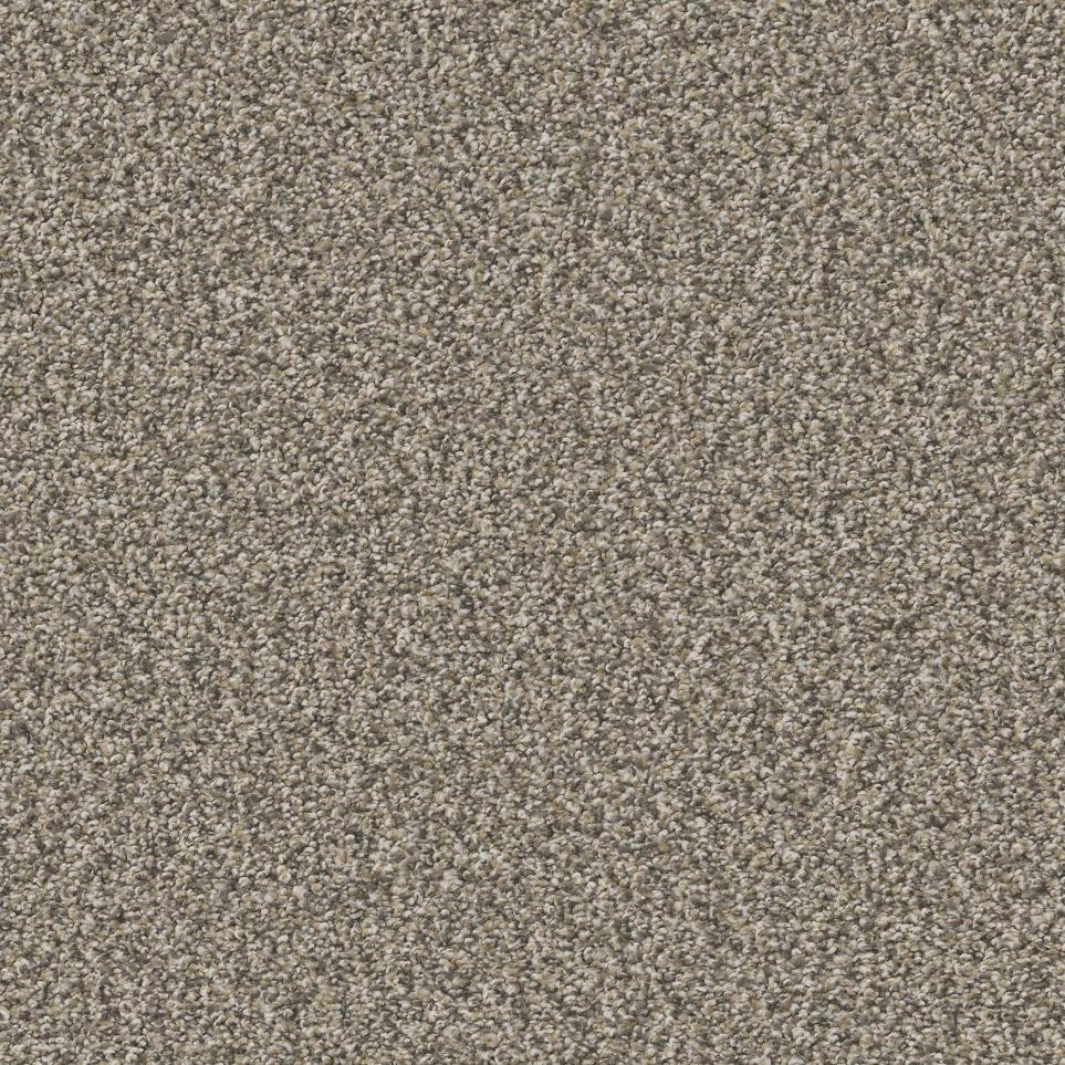 Plush Ancient Beige/Tan Carpet