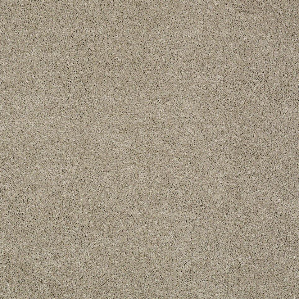 Texture Chinchilla Beige/Tan Carpet
