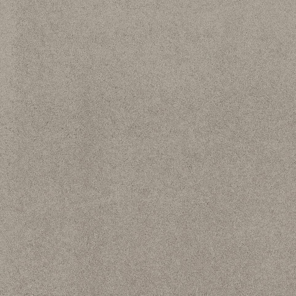 Textured Saxony Winter Twig Beige/Tan Carpet