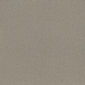 Textured Saxony Homeward Gray Carpet