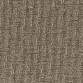 Pattern Splendid Brown Carpet