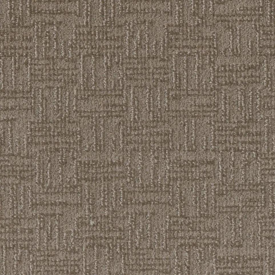 Pattern Splendid Brown Carpet