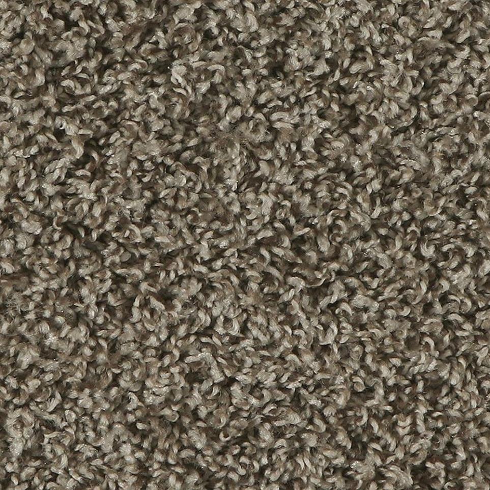 Textured Saxony Barn Owl Beige/Tan Carpet