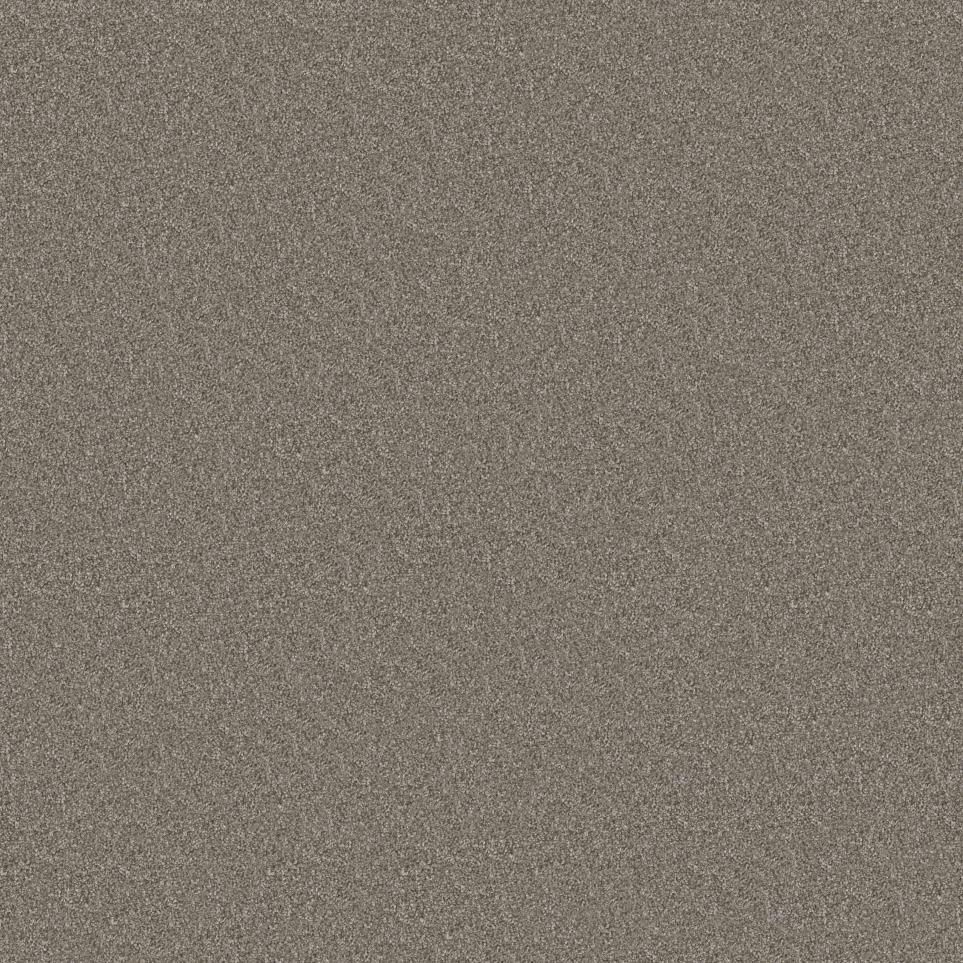 Texture Ridgeland Beige/Tan Carpet