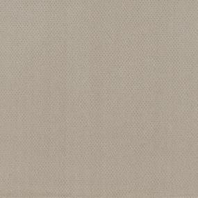 Pattern New Tradition Beige/Tan Carpet