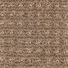 Pattern Mocha Shine Brown Carpet