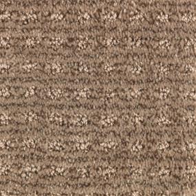 Pattern Mocha Shine Brown Carpet