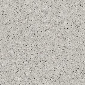 Textured Saxony Notion Gray Carpet