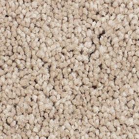 Berber Champagne Beige/Tan Carpet