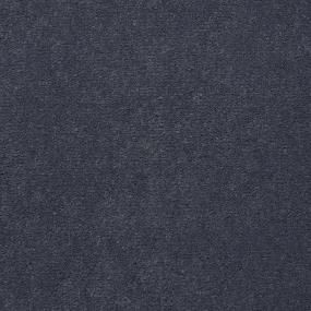 Cut Pile Dry Purple Blue Carpet