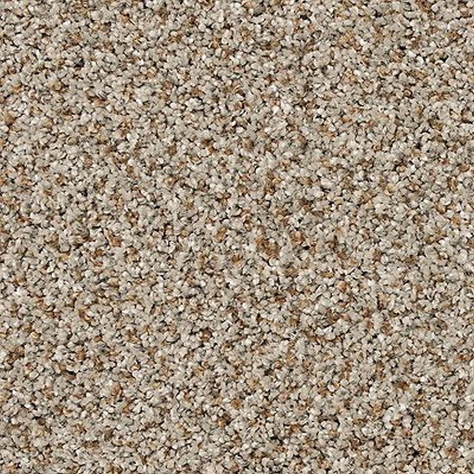 Textured Saxony Fedora Grey Gray Carpet