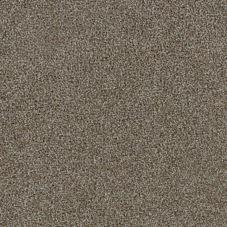 Textured Saxony First Impression Brown Carpet