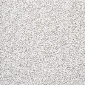 Textured Saxony Secure Beige/Tan Carpet