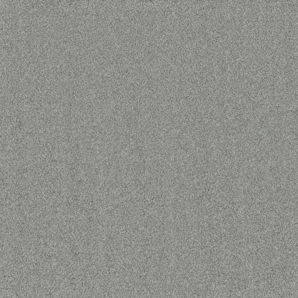 Texture Fantasia Gray Carpet