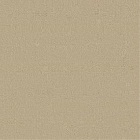 Pattern Nutria Beige/Tan Carpet